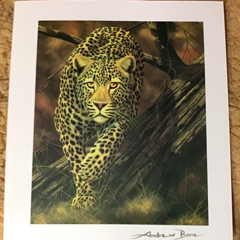 Stunning Artwork “African Mystique” by Andrew Bone
